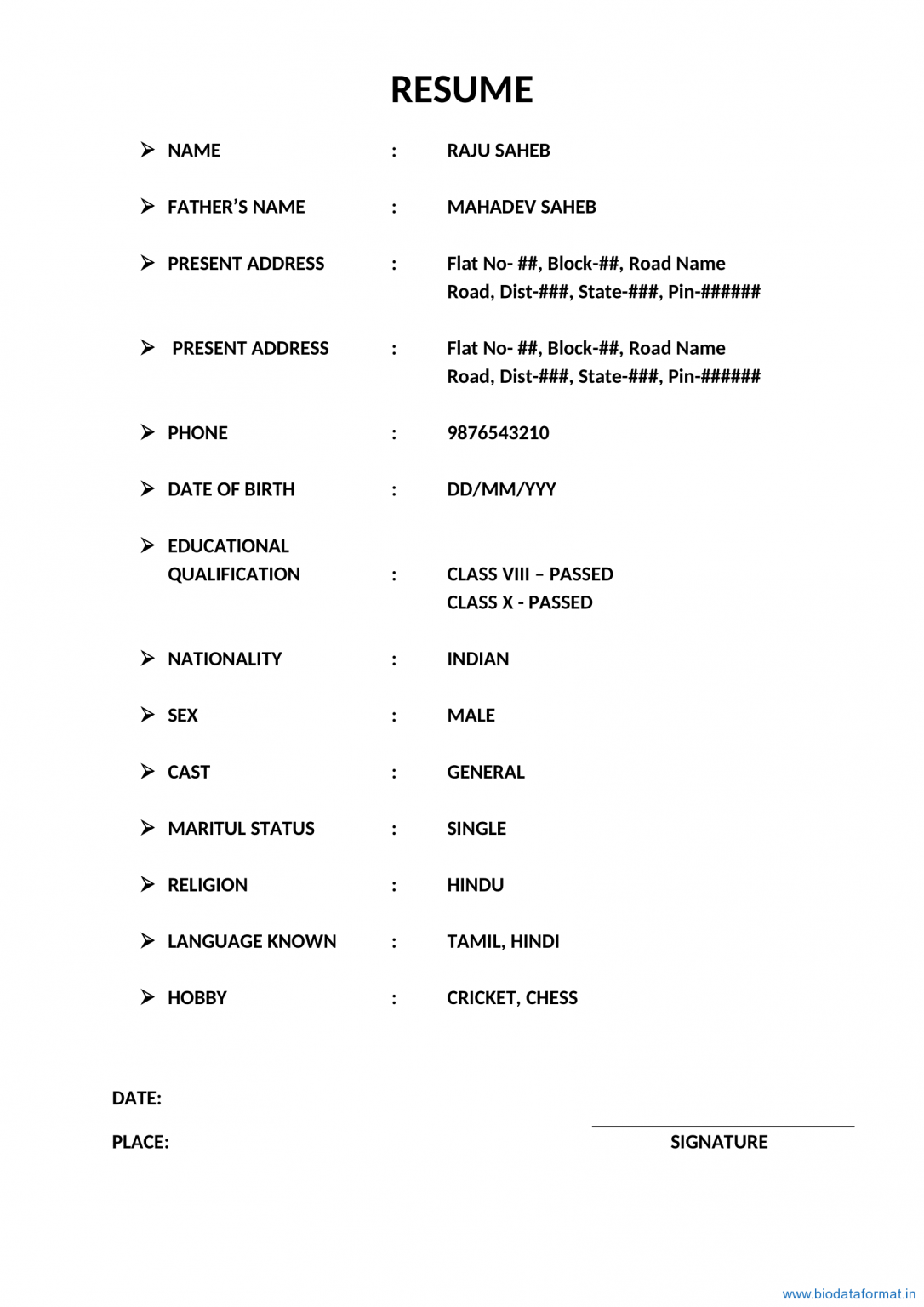 biodata-format-13-basic-biodata-normal-biodata-biodataformat-in