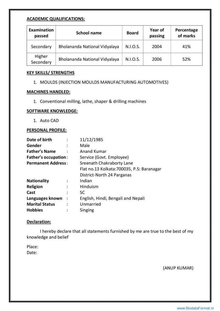 CV Format for Technical Candidate