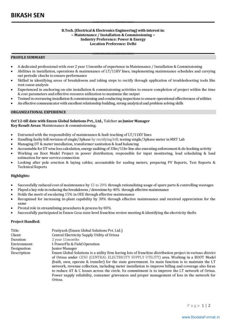 Biodata Format for Engineers and professional 2page with all details ...
