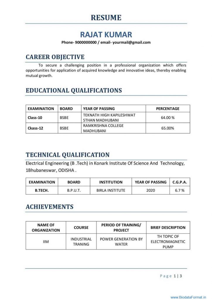 Biodata Format for Engineer 3 Pages, 