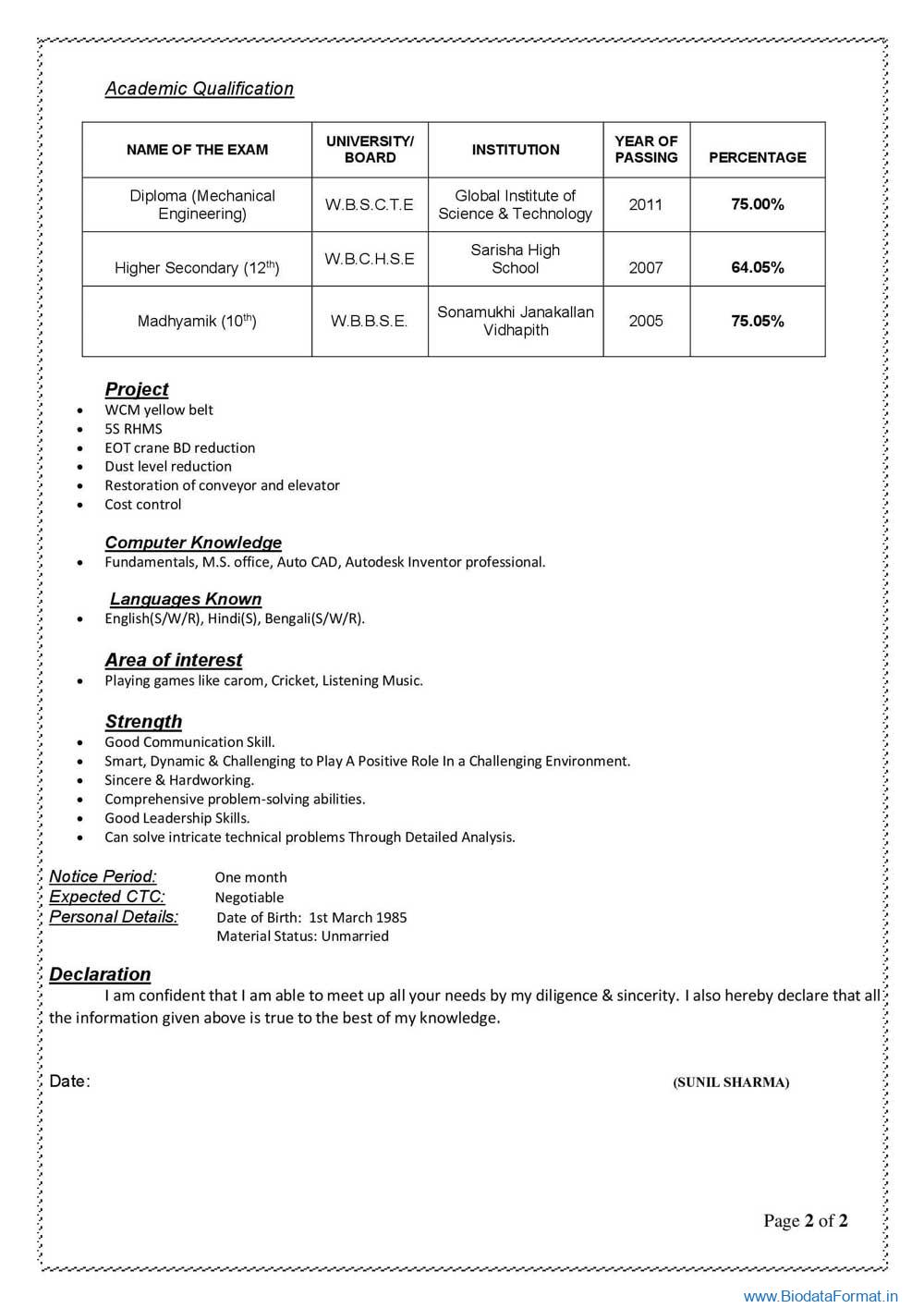 CV Format for Technical Candidate (Biodata Format) 2 PAGES ...