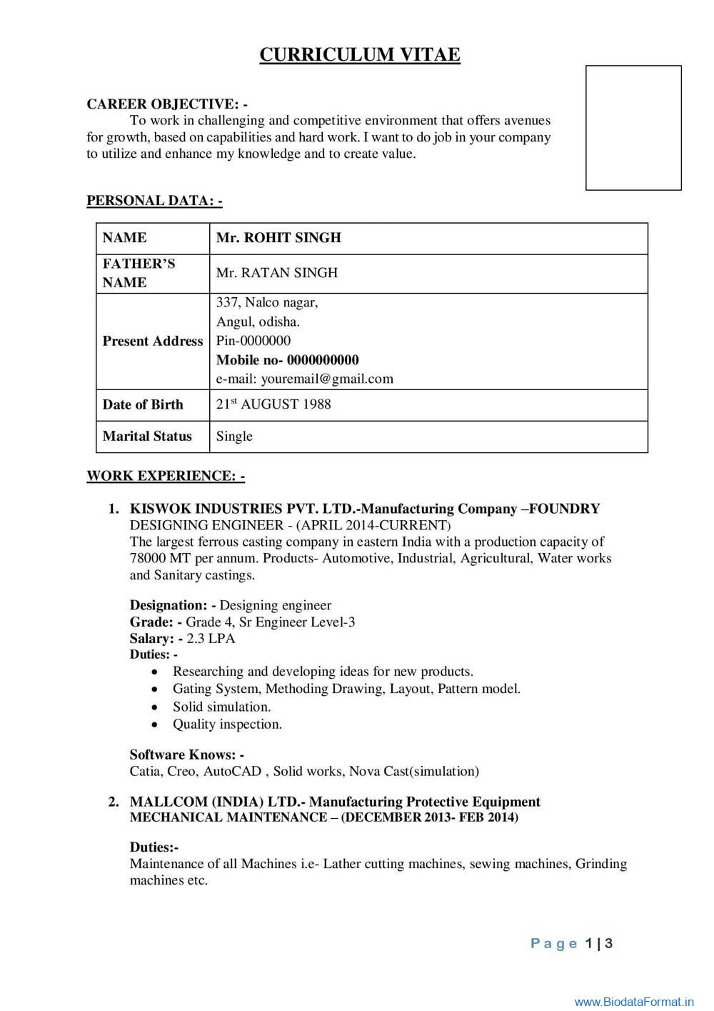 CV Format for Technical Candidate (Biodata Format) - BiodataFormat.in